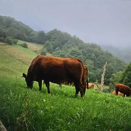 Casa vacanze Cozy House In Luena, 75 M² With Mountain View