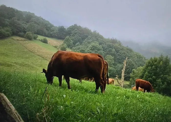 別荘 Cozy House In Luena, 75 M² With Mountain View